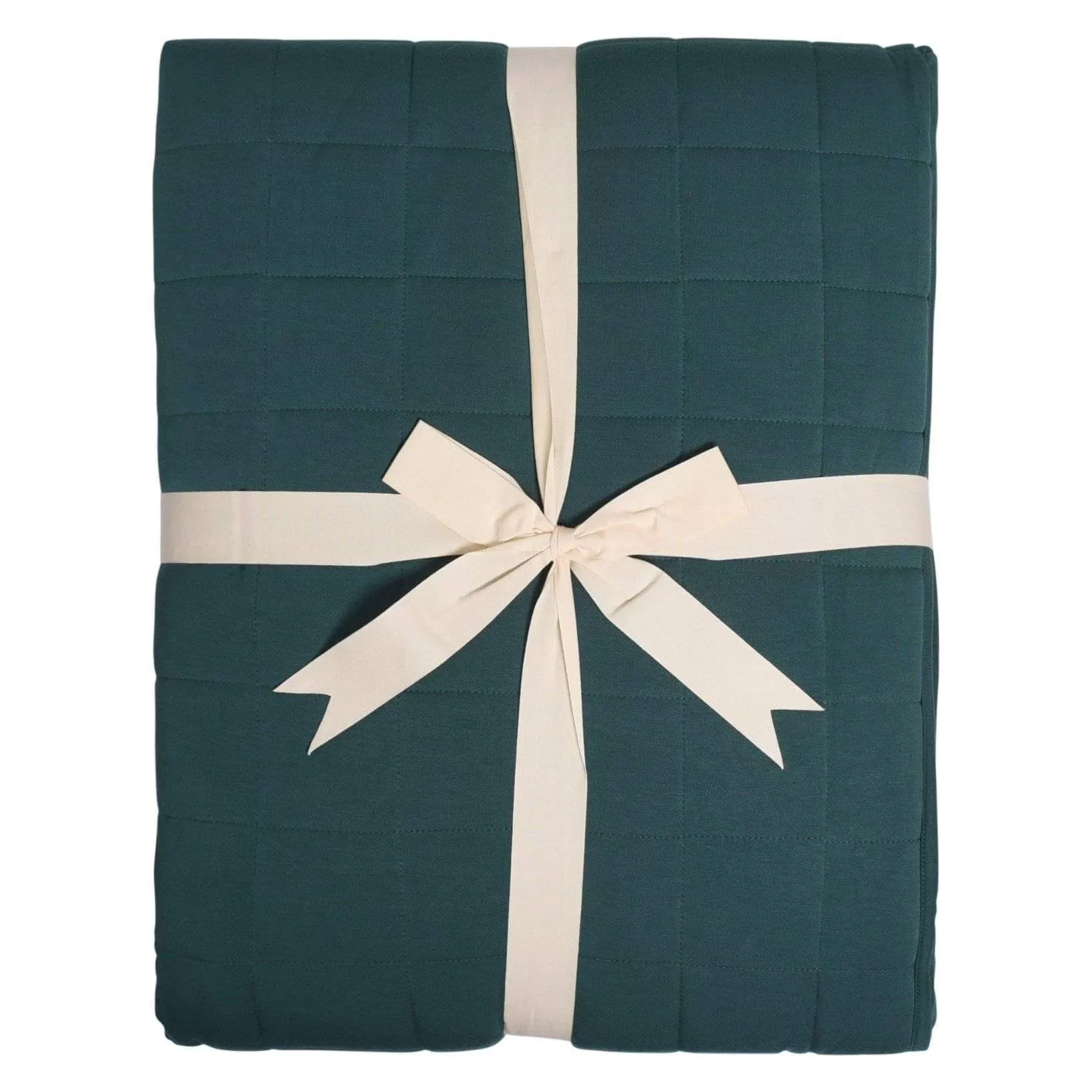 Ultra-Soft Bamboo Rayon Baby Blanket